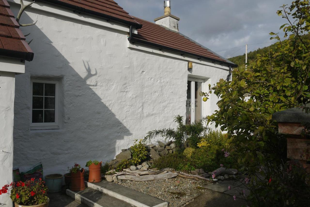 Willow Cottage, Isle Of Arran Thundergay Kültér fotó